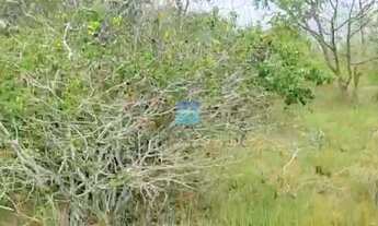 Imagem 5: Área, Parafuso, Camaçari - R$ 11.3 mi, Cod: 68461