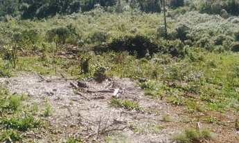 Imagem 3: Área à venda, 120000 m² por R$ 1.000.000,00 - Linha Imperial - Nova Petrópolis/RS