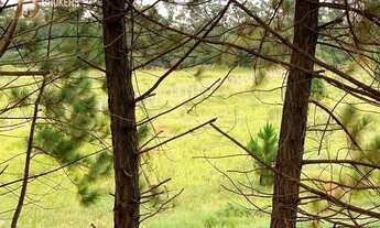 Imagem: CABREÚVA - Terreno Padrão - Jacaré
