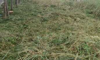 Imagem 2: Vende-se lote Terreno / lote com venda por R$39.000