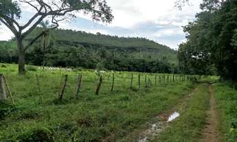 Imagem 7: Excelente Fazenda 107 alqueires município de Palmas Tocantins