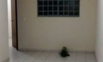 Imagem 2: Alugo Apartamento