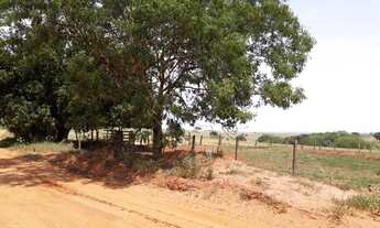 Imagem: Sitio em Auriflama com 27 alqueires para