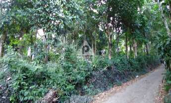 Imagem 2: Lote à venda, Guaratiba - RIO DE JANEIRO/RJ