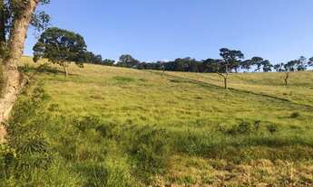 Imagem 15: Lote/Terreno para venda possui 1000 metros quadrados em vila verde
