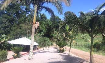 Imagem 6: Sítio chácara em Arroio Augusta Roca Sales