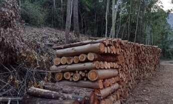 Imagem 4: Área à venda, 20978 m² por R$ 250.000,00 - Vila Olinda - Nova Petrópolis/RS