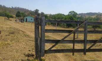 Imagem 5: Chácara em inhumas - oportunidade única - próx a Goiânia