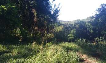 Imagem 2: Área à venda, 36000 m² por R$ 2.200.000,00 - Vale Verde - Nova Petrópolis/RS