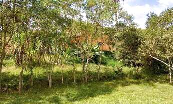 Imagem 7: Chácara com área de 4500 m² em Mateus Leme/MG