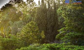 Imagem 7: Casa com 4 dormitórios à venda, 519 m² por R$ 4.250.000,00 - Condomínio Estância Marambaia