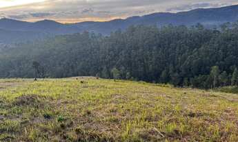 Imagem: Lote/Terreno para venda possui 600 metros