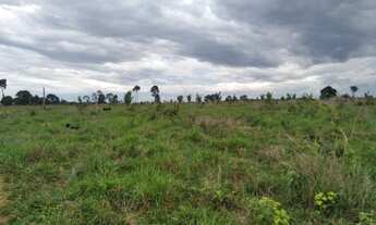 Imagem 3: Fazenda 328 alqueires Região de Ariquemes