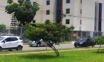 Imagem 7: APARTAMENTO 02 QUARTOS SAMAMBAIA SUL