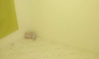 Imagem 2: Dividir ap Apartamento com 2 dormitórios