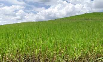 Imagem 2: Terreno com preço imperdível em Jacareí