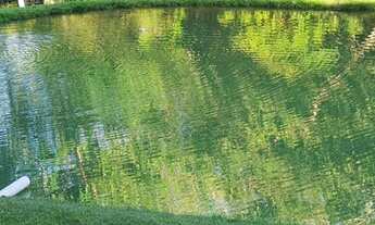 Imagem 6: Lindo Sítio diferenciado, 24.000 m², casa com 3 quartos