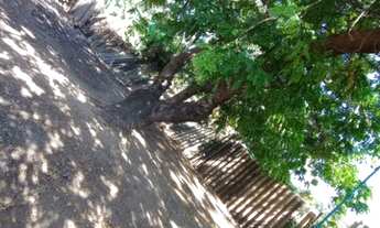 Imagem: Terreno em St Terezinha