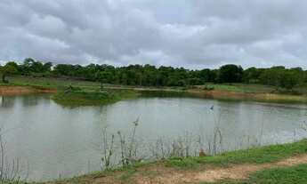 Imagem 5: Fazenda/Sítio/Chácara para venda com 6098 metros quadrados com 5 quartos em Centro - Poran