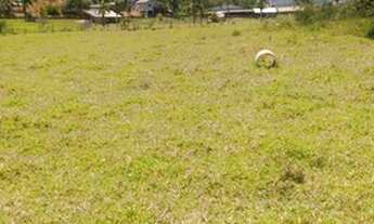 Imagem 6: Lote/Terreno para venda com 1700 metros quadrados em Centro - Santo Amaro da Imperatriz