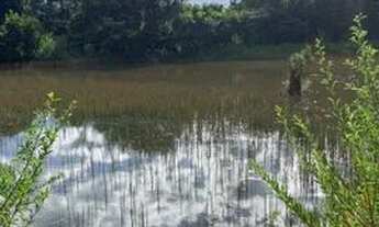 Imagem 2: Fazenda Chácara com venda por R$4.000.000