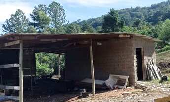 Imagem 3: Galpão 140 m² terreno 1000 m² a 1 km RS 239