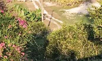 Imagem 7: Fazenda entre KM 50 e 60 da BR174. 10.360.000m2. Benfeitorias + AREAL 250.000m2 LICENCIADO