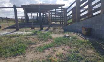 Imagem 6: Fazenda em Morro do Chapeu