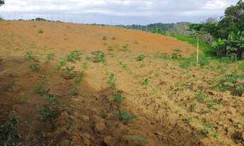 Imagem 6: Terreno e sitios a venda