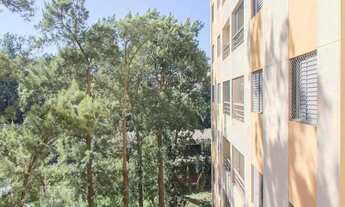 Imagem 5: Apartamento para Aluguel - Centro, 2 Quartos, 50 m2