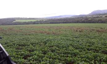 Imagem 7: 206 alqueires em Doverlandia-Go