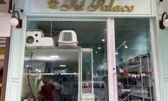 Imagem: Vendo pet shop em icarai