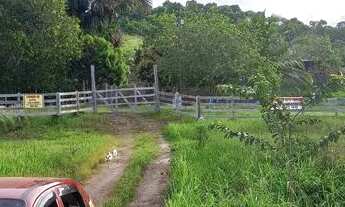 Imagem 5: Venda-se sítio Chácara com venda por R$140.000