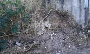 Imagem 7: Excelente oportunidade para construtores [VP