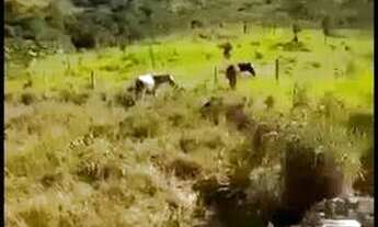 Imagem 2: Chácara no DF Chácara com venda por R$180.000