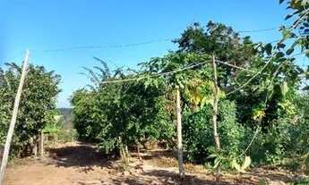 Imagem 3: Chácara Vende se ou troca