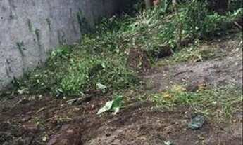 Imagem 5: Vendo terreno em Dias Dávila