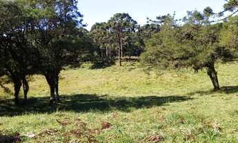 Imagem: 47 hectares apenas 2,3 km da Rota do Sol