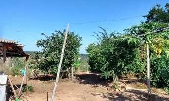 Imagem 2: Chácara Vende se ou troca