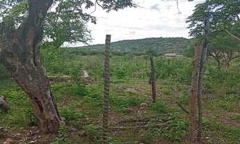 Imagem: Terreno para chácara