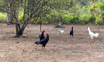 Imagem 3: Sítio serra grande 1 cantá
