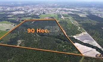 Imagem 2: Terreno com aproximadamente 90 Hectares quadrados