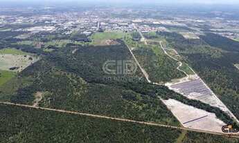 Imagem 4: Terreno com aproximadamente 90 Hectares quadrados