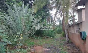 Imagem: Chácara Residencial disponível para Venda