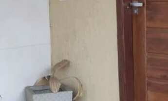 Imagem: Vendo ou troco 2 Casas próx ao Centro de