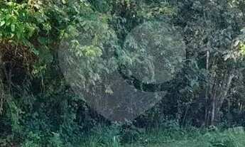 Imagem 5: Terreno à venda em Roseira - SP
