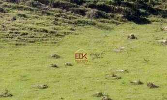 Imagem 3: Área à venda, 492588 m² por R$ 10.000.000,00 - Jardim Alvorada - Jacareí/SP