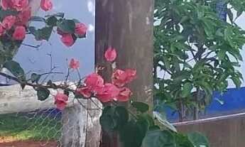 Imagem: Fazenda Amorinopolis 7 Alqueires Chácara