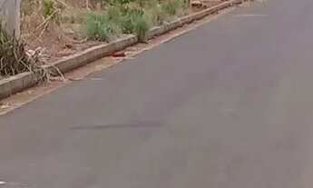 Imagem 2: Vendo Lote comercial