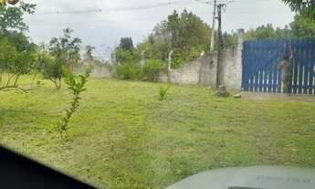 Imagem 4: Sítio Completo no Sapé - Escriturado e Todo Murado!